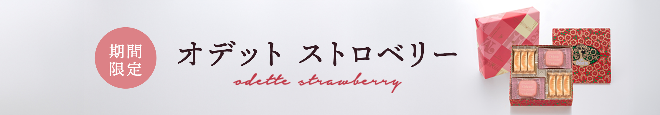 オデットST