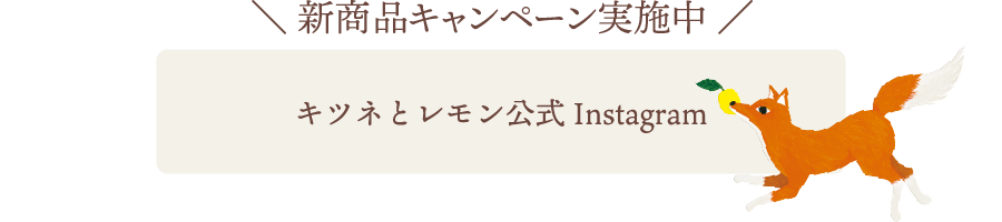 キツネとレモンのInstagramへ