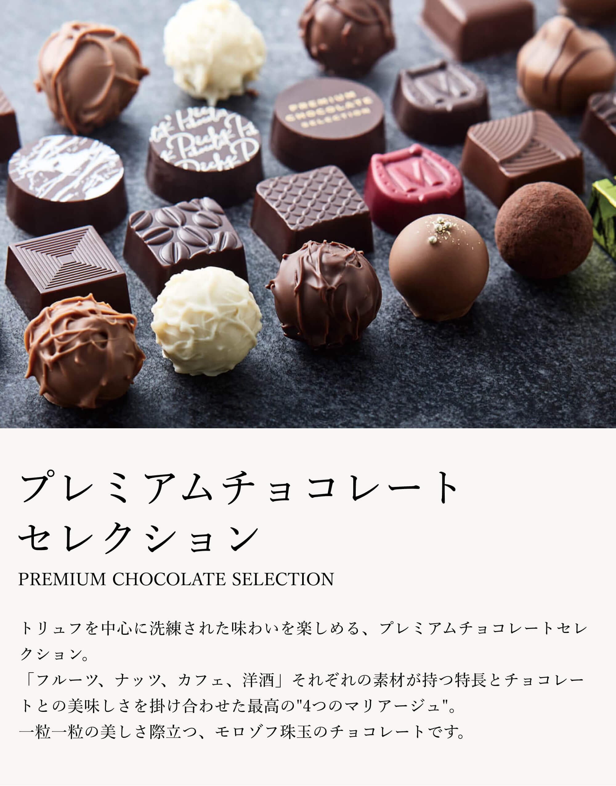モロゾフ 食品サンプル チョコレート 15個 シュリンク付き 見本