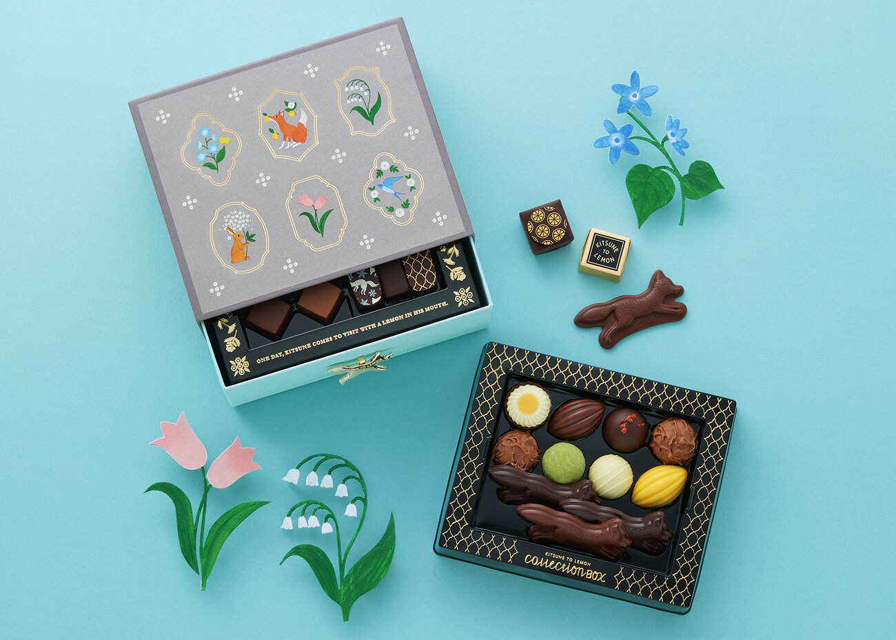 コレクションボックス