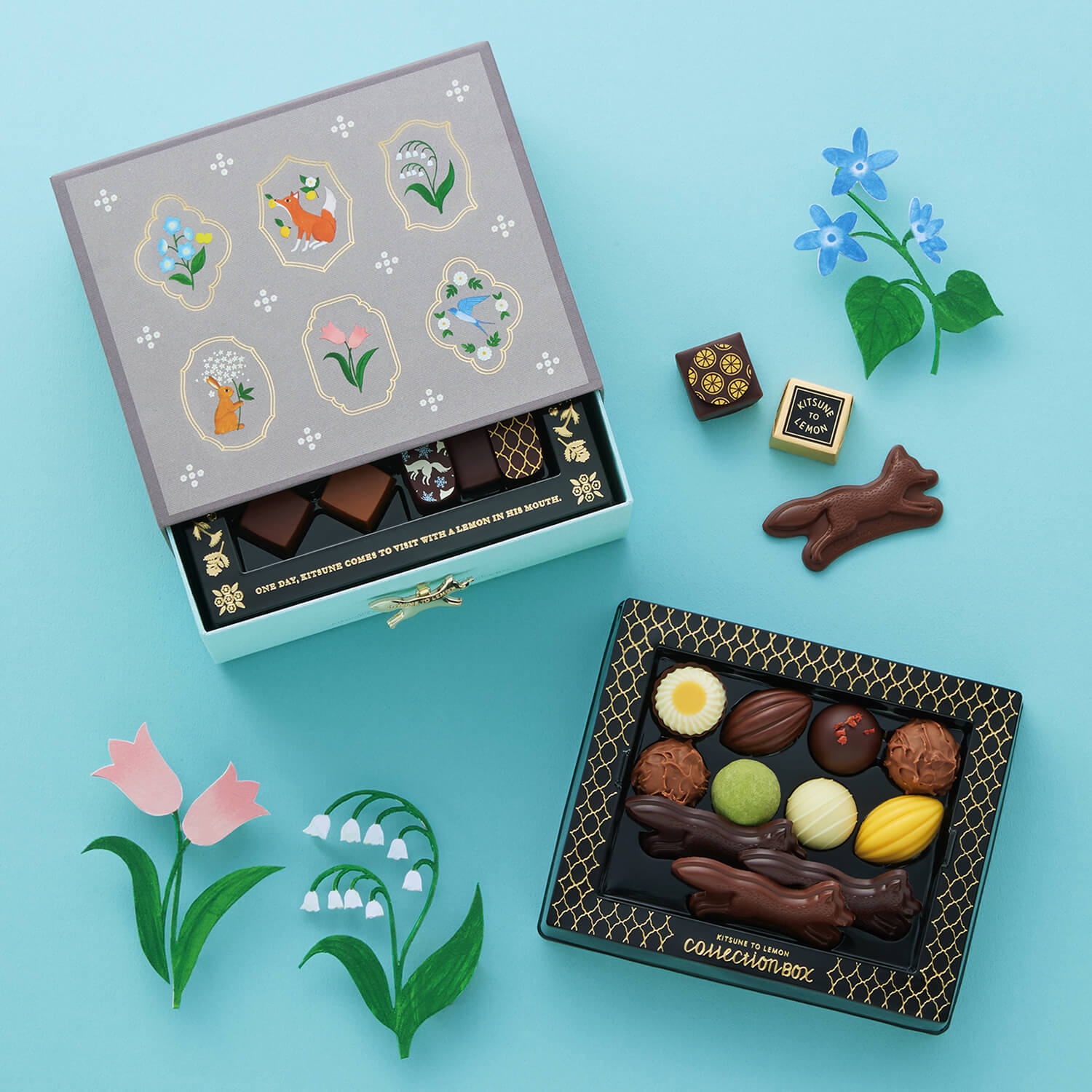 コレクションボックス