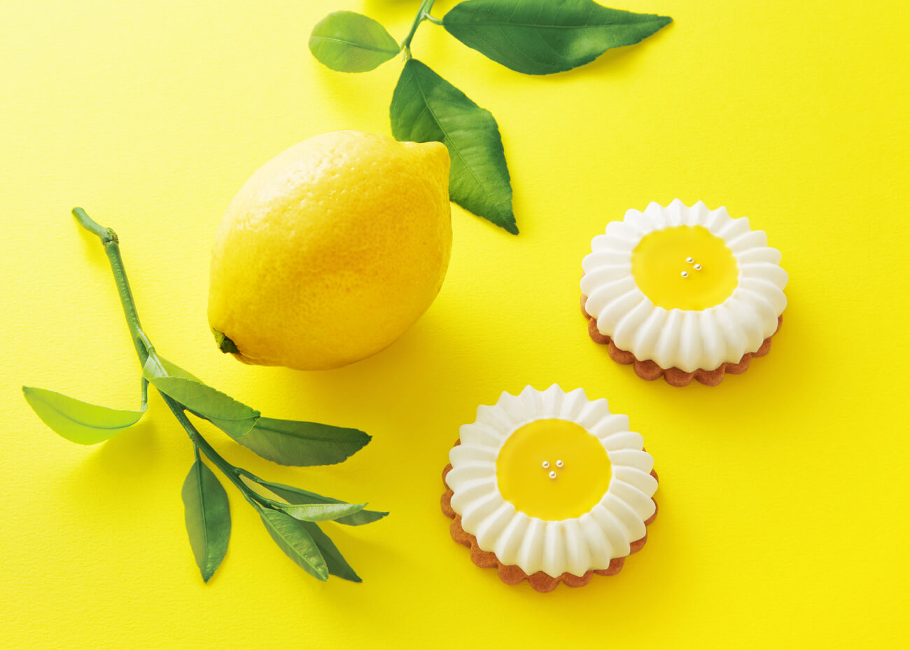 夢見るキツネのレモンフラワー