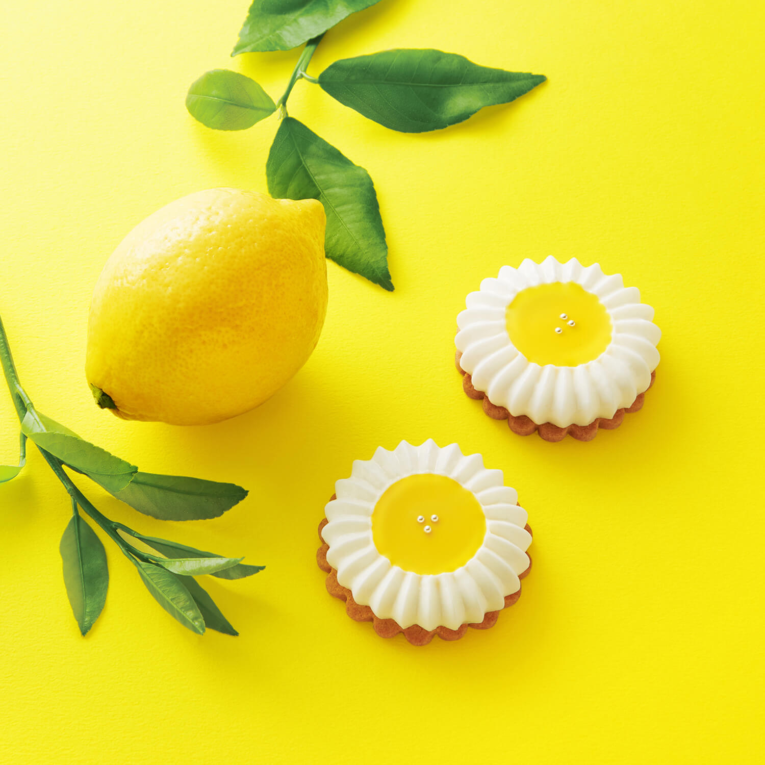 夢見るキツネのレモンフラワー