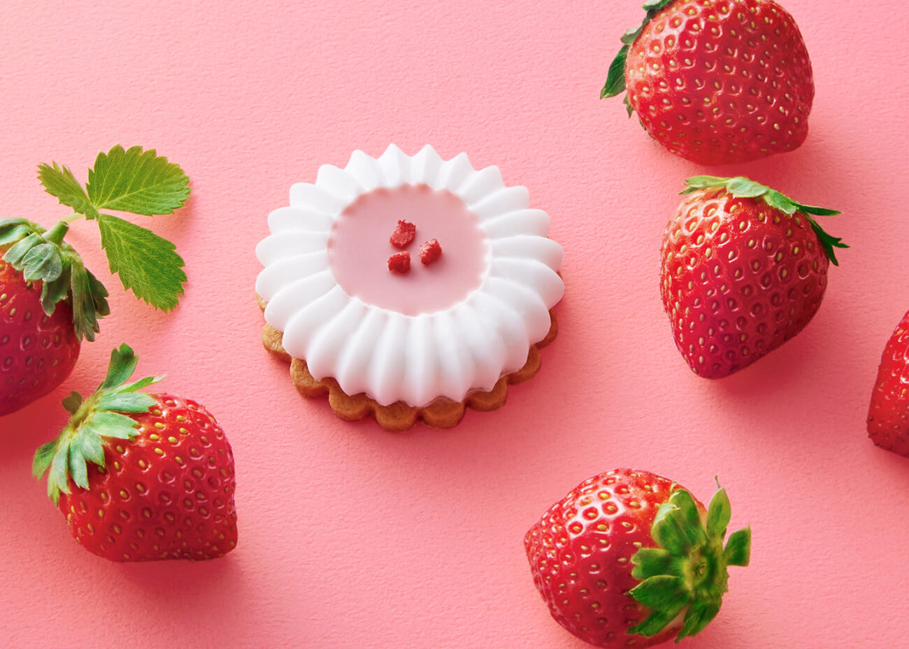 オオカミの憧れイチゴフラワー