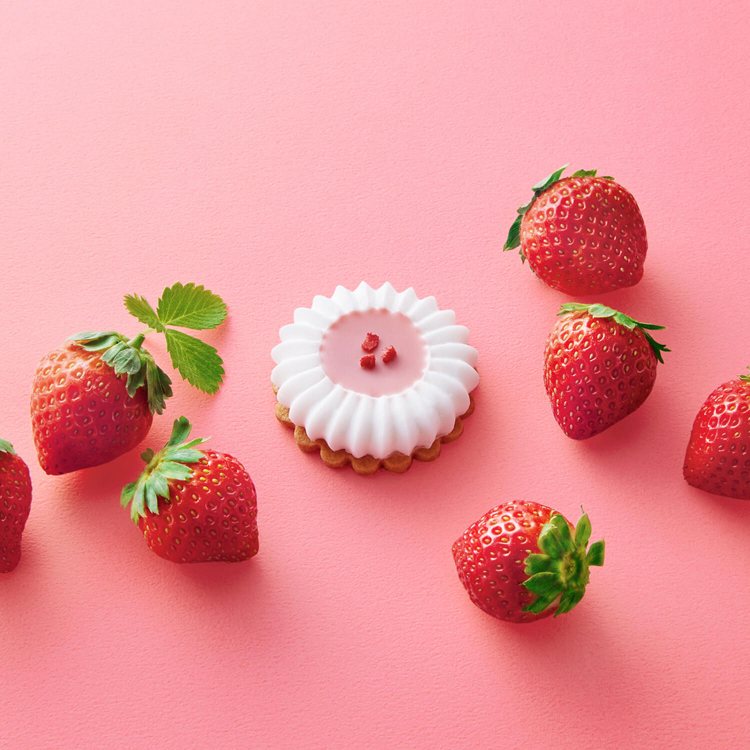 オオカミの憧れイチゴフラワー